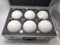 3D Scanner Spheres Calibration Target Set: 6-Pack with Aluminum Case